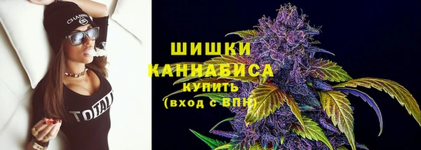 дживик Белокуриха