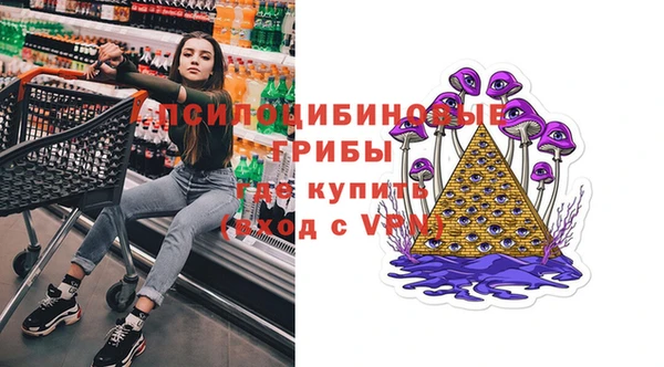 бошки Богородицк