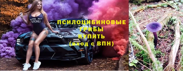 бошки Богородицк