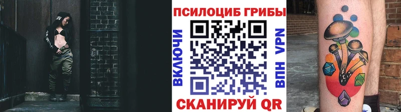 Псилоцибиновые грибы прущие грибы где найти наркотики Полесск